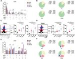 CD4 Antibody in Flow Cytometry (Flow)