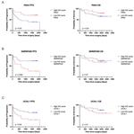 PAK4 Antibody in Immunohistochemistry (PFA fixed) (IHC (PFA))