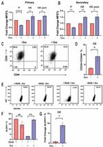 CD44 Antibody in Flow Cytometry (Flow)