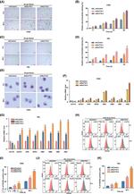 CD235a (Glycophorin A) Antibody in Flow Cytometry (Flow)