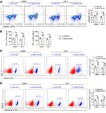 Granzyme B Antibody in Flow Cytometry (Flow)