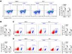Perforin Antibody in Flow Cytometry (Flow)