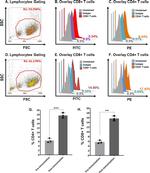 CD4 Antibody in Flow Cytometry (Flow)
