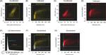 CD61 (Integrin beta 3) Antibody in Flow Cytometry (Flow)