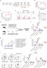 IL-33R (ST2) Antibody in Flow Cytometry (Flow)