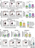 CD44 Antibody in Flow Cytometry (Flow)