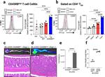 CD4 Antibody in Flow Cytometry (Flow)