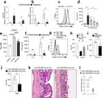 CD4 Antibody in Flow Cytometry (Flow)