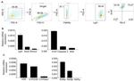 Bcl-2 Antibody in Flow Cytometry (Flow)