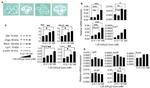 Intestinal Alkaline Phosphatase Antibody in Western Blot (WB)