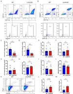 Arginase 1 Antibody in Flow Cytometry (Flow)