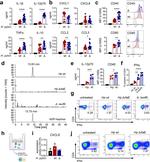 CD4 Antibody in Flow Cytometry (Flow)
