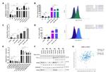 CD274 (PD-L1, B7-H1) Antibody in Flow Cytometry (Flow)