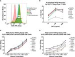 SAP (SLAM-Associated Protein) Antibody in Flow Cytometry (Flow)