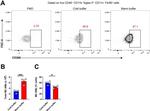CD170 (Siglec F) Antibody in Flow Cytometry (Flow)