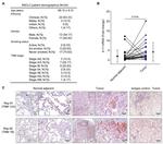 IL-11 Antibody in Immunohistochemistry (Paraffin) (IHC (P))