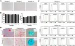 CD105 (Endoglin) Antibody in Flow Cytometry (Flow)