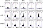 CD44 Antibody in Flow Cytometry (Flow)