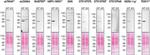 CK2 alpha-1 Antibody in Western Blot (WB)
