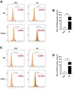 SOX17 Antibody in Flow Cytometry (Flow)