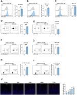 IL-17A Antibody in Flow Cytometry (Flow)
