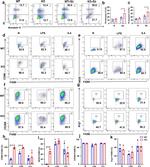 Arginase 1 Antibody in Flow Cytometry (Flow)