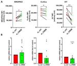 FceR1 alpha Antibody in Flow Cytometry (Flow)