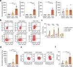 IL-22 Antibody in Flow Cytometry (Flow)