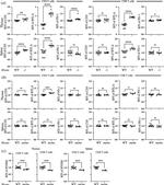 CD5 Antibody in Flow Cytometry (Flow)