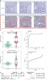 ARHGAP12 Antibody in Immunohistochemistry (Paraffin) (IHC (P))