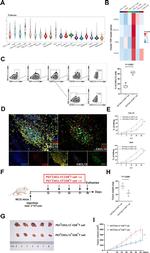 CD279 (PD-1) Antibody in Flow Cytometry (Flow)
