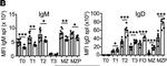 Mouse IgM (Mu chain) Secondary Antibody in Flow Cytometry (Flow)