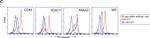 Rabbit IgG (H+L) Cross-Adsorbed Secondary Antibody in Flow Cytometry (Flow)