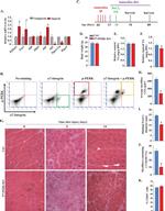 CD45 Antibody in Flow Cytometry (Flow)