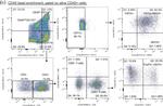 Rabbit IgG (H+L) Cross-Adsorbed Secondary Antibody in Flow Cytometry (Flow)