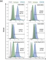 Rabbit IgG (H+L) Cross-Adsorbed Secondary Antibody in Flow Cytometry (Flow)