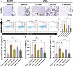 CD4 Antibody in Flow Cytometry (Flow)