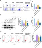 CD4 Antibody in Flow Cytometry (Flow)