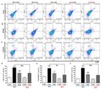T-bet Antibody in Flow Cytometry (Flow)