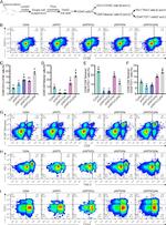 CD44 Antibody in Flow Cytometry (Flow)