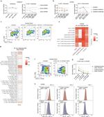 CD45 Antibody in Flow Cytometry (Flow)