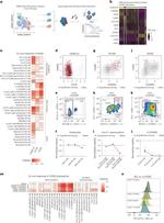 CD45 Antibody in Flow Cytometry (Flow)