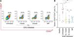 CD45 Antibody in Flow Cytometry (Flow)