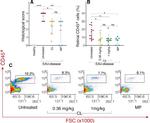 CD45 Antibody in Flow Cytometry (Flow)