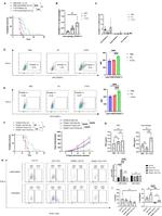CD45.2 Antibody in Flow Cytometry (Flow)