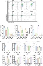 CD206 (MMR) Antibody in Flow Cytometry (Flow)