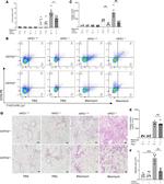 CD278 (ICOS) Antibody in Flow Cytometry (Flow)