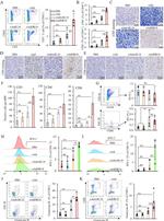 CD8a Antibody in Flow Cytometry (Flow)