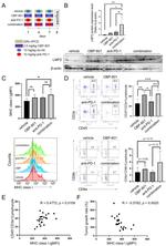 HLA-ABC Antibody in Flow Cytometry (Flow)