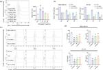 CD279 (PD-1) Antibody in Flow Cytometry (Flow)